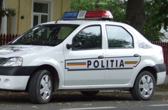 Un bărbat din Sibiu s-a ales cu dosar penal după ce a aruncat la gunoi patru pui de câine/Imagine generică