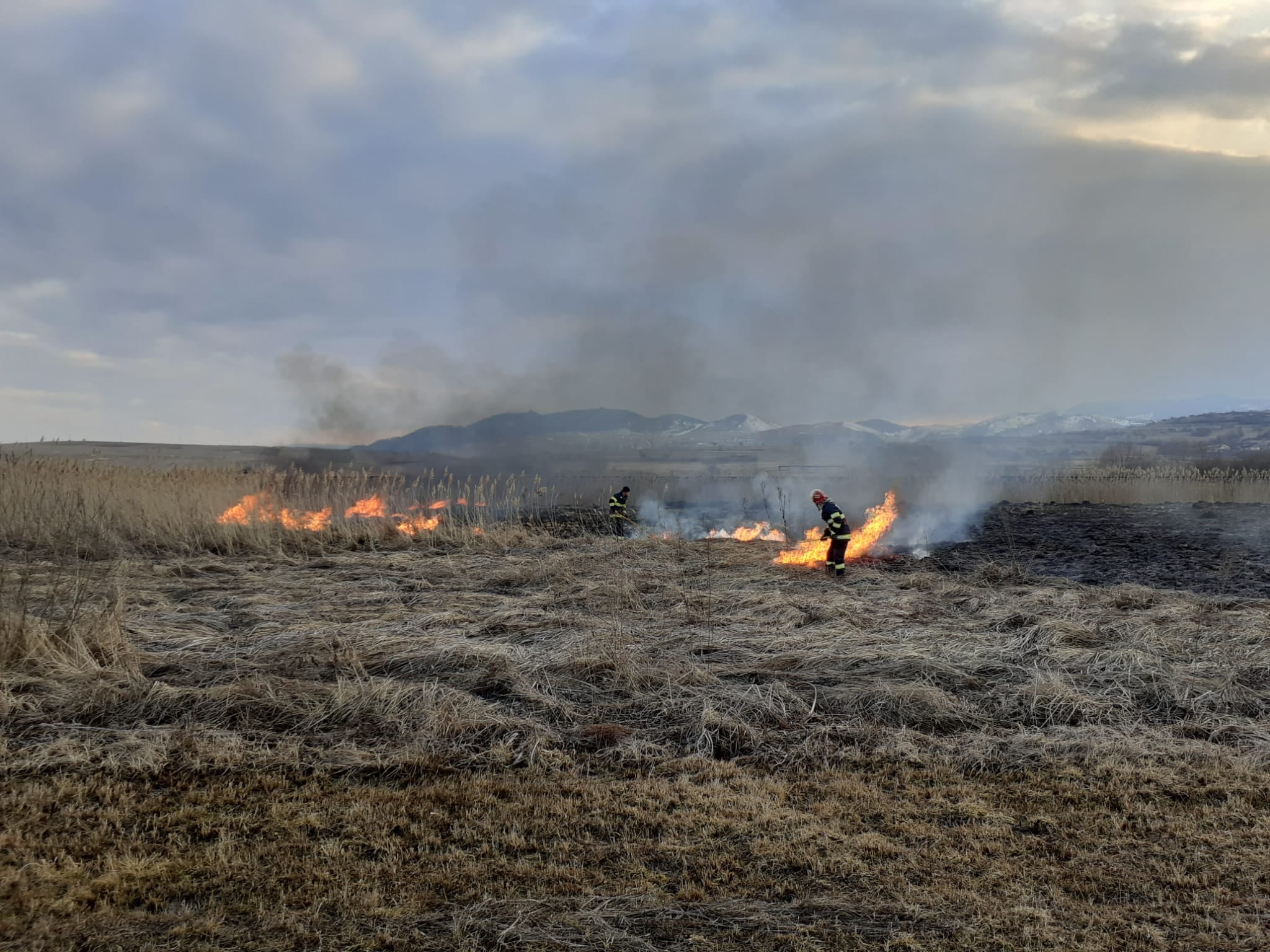 12 incendii de vegetație în Cluj în doar 4 ore