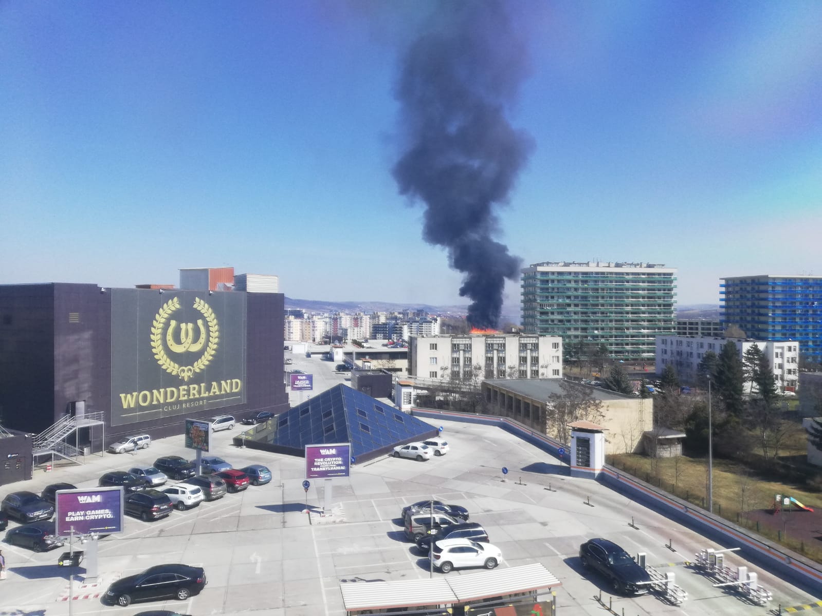 Incendiu PUTERNIC de vegetație pe strada Tulcea din Cluj-Napoca. Fumul este observat din mai multe zone din Cluj. FOTO/VIDEO