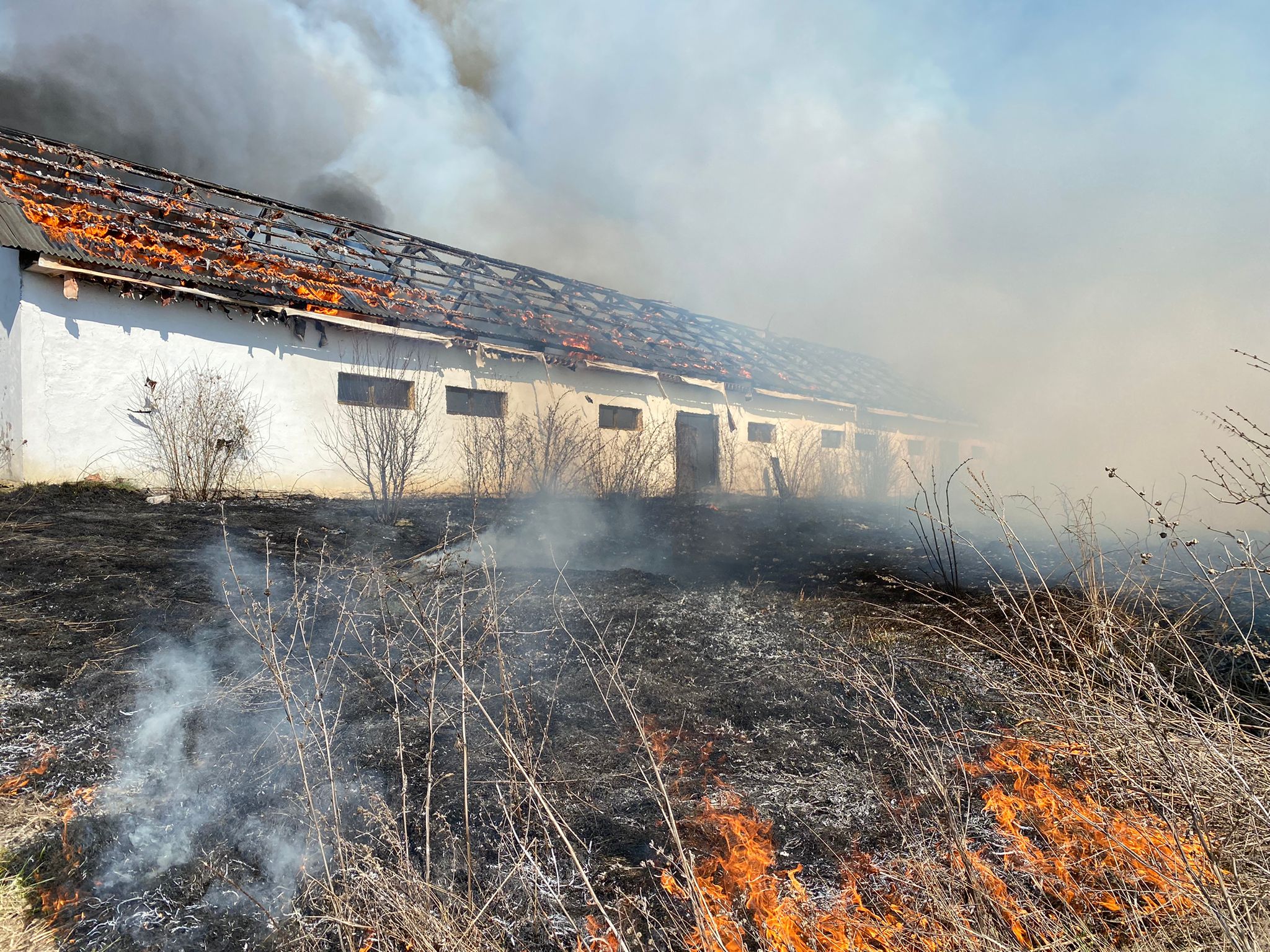 Pericol de EXPLOZIE lângă Suceagu! Un incendiu de vegetație s-a extins lângă două rezervoare cu gaz. VIDEO