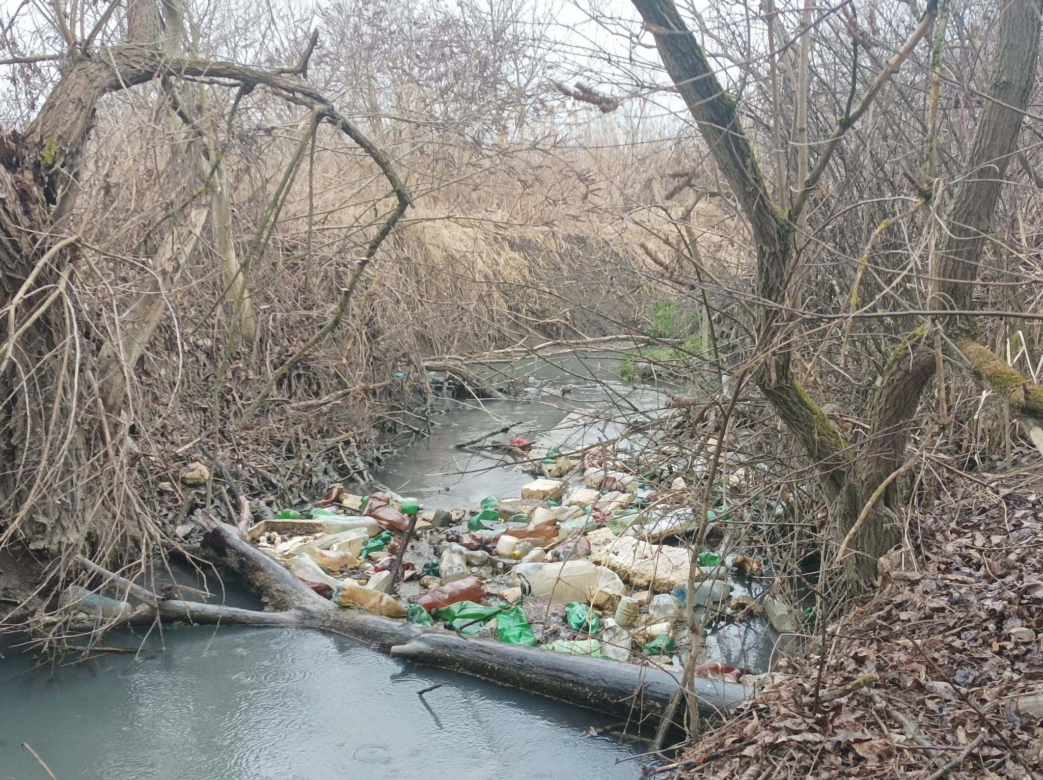 Deșeuri pe pârâul Becaș. FOTO: Facebook/ SOS Parcul Est
