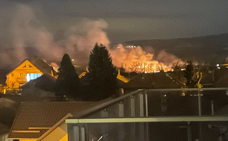 Incendiu de vegetație în Cluj