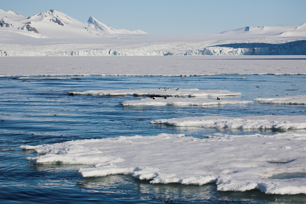 „Incidentele neintenţionate” pot duce la  prejudicii grave ecosistemului zonei arctice, avertizează Rusia / Foto: depositphotos.com