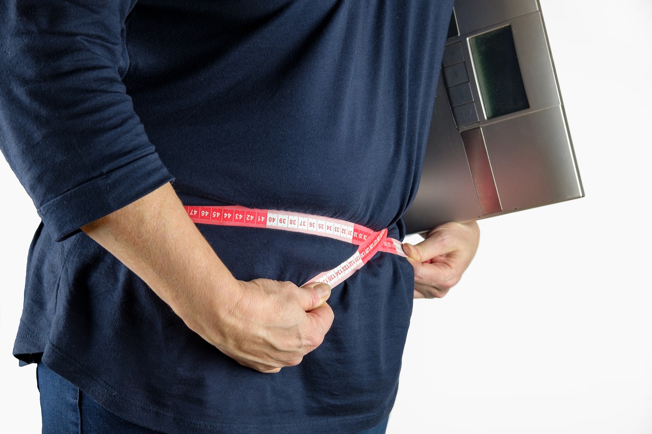 Un sfert dintre adulții din Europa suferă de obezitate/ FOTO: pixabay.com