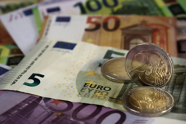 Bulgaria trece la moneda euro de la 1 ianuarie 2024 / Foto: pixabay.com