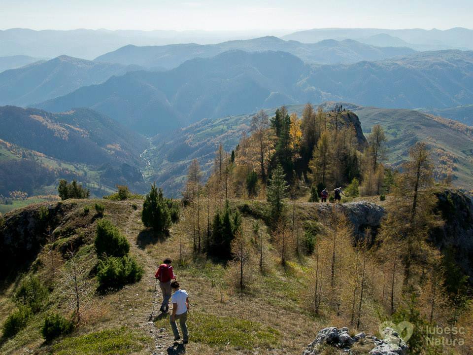 Rezervația naturală Scărița Belioara din județul Alba/ FOTO: Comuna Ocoliș - Facebook
