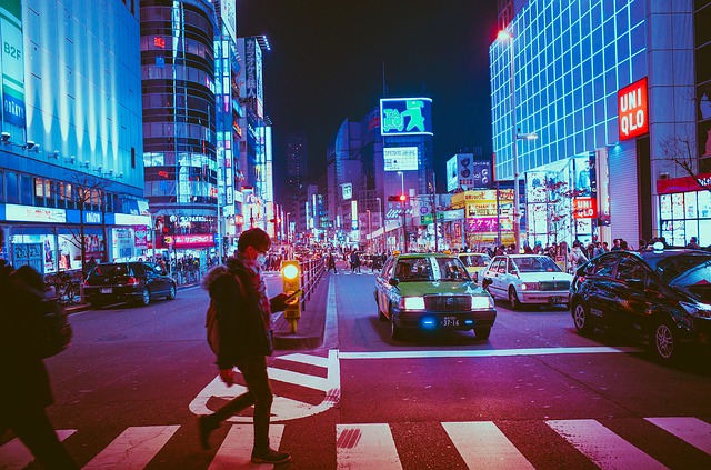 Japonia se pregăteşte să permită intrarea turiştilor în ţară, pentru prima dată de la izbucnirea pandemiei/ Foto: pixabay.com