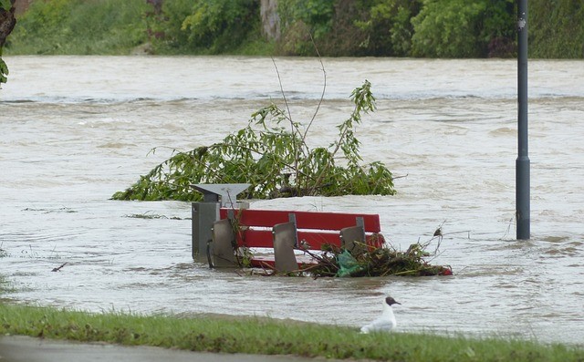 Pericol de inundații pe râuri în Cluj/ FOTO: pixabay.com