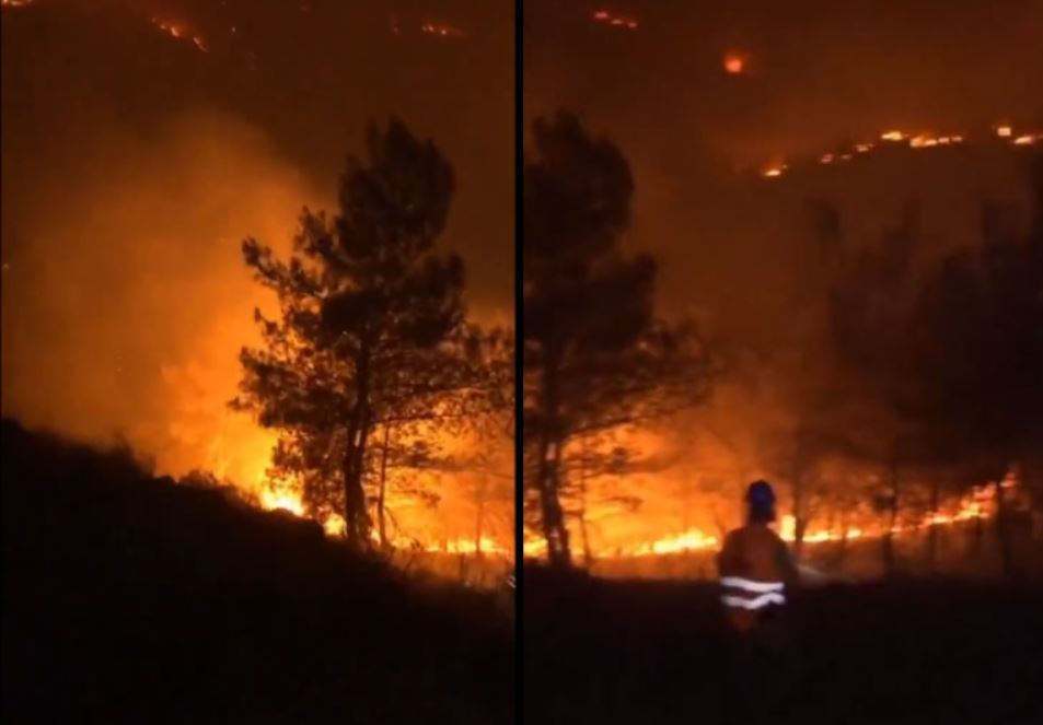 Incendii de vegetație în Turcia / Foto: captură ecran Twitter - Brave Spirit