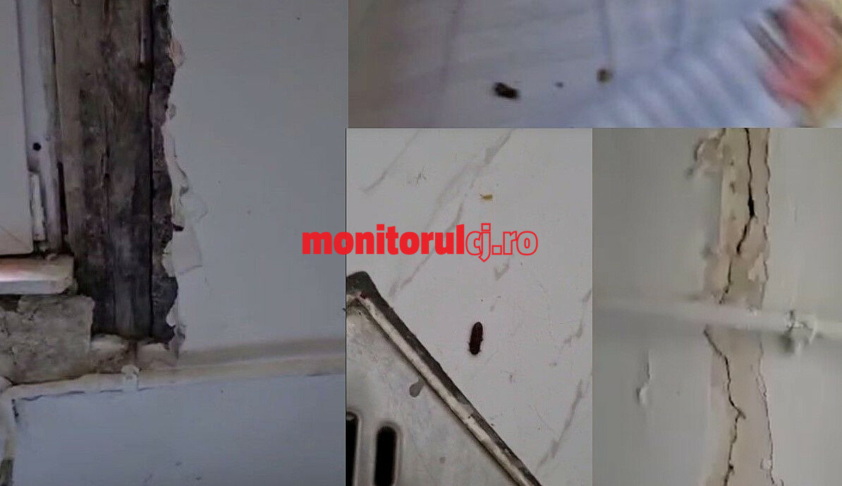Tencuială căzută, gândaci în pat, așternuturi de pat și perdele murdare, sunt doar de câteva dintre condițiile în care reclamă tatăl unui băiat că a fost ținut fiul său într-una din clădirea DGASPC Cluj/ Foto: Capturi video