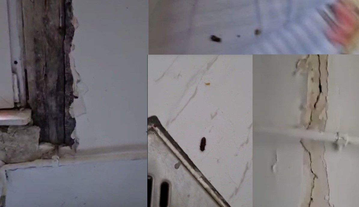Tencuială căzută, gândaci în pat, așternuturi de pat și perdele murdare, sunt doar de câteva dintre condițiile în care reclamă tatăl unui băiat că a fost ținut fiul său într-una din clădirea DGASPC Cluj/ Foto: Capturi video