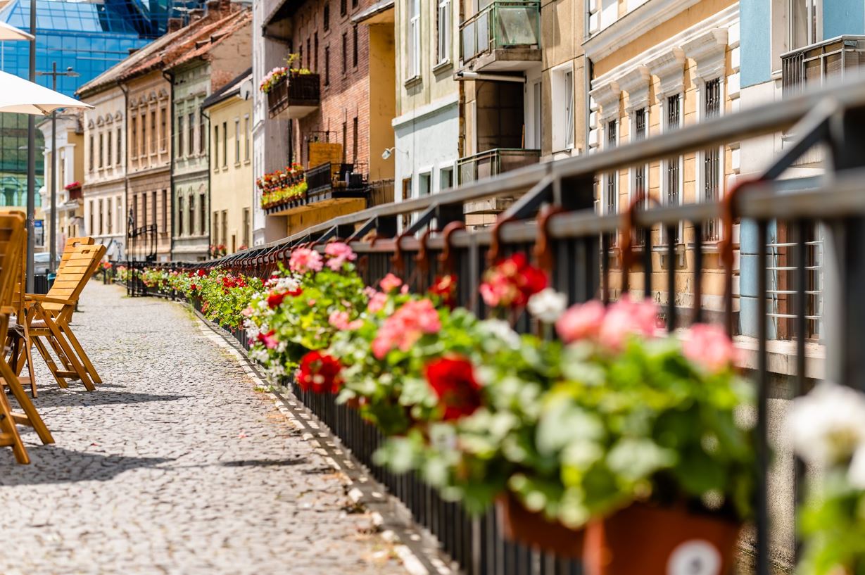 Strada Andrei Șaguna a fost „îmbrăcată” în sute de ghivece cu flori, oferite gratuit localnicilor / Foto: Facebook - Andi Daiszler