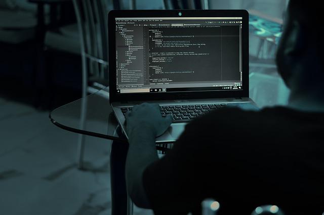 Un român acuzat că a contribuit la distribuirea unui virus informatic care a infectat peste 1 milion de computere şi a provocat pierderi financiare considerabile la nivel mondial a fost extrădat în Statele Unite/ Foto: pixabay.com