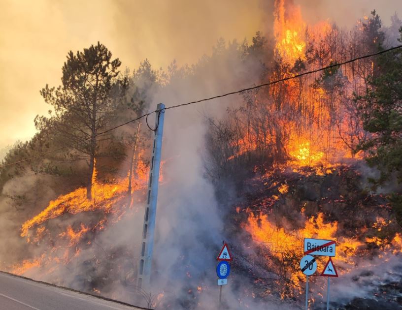 Peste 600 de incendii de vegetație în 2022 în Cluj/ Foto: Adrian Jișa - Facebook