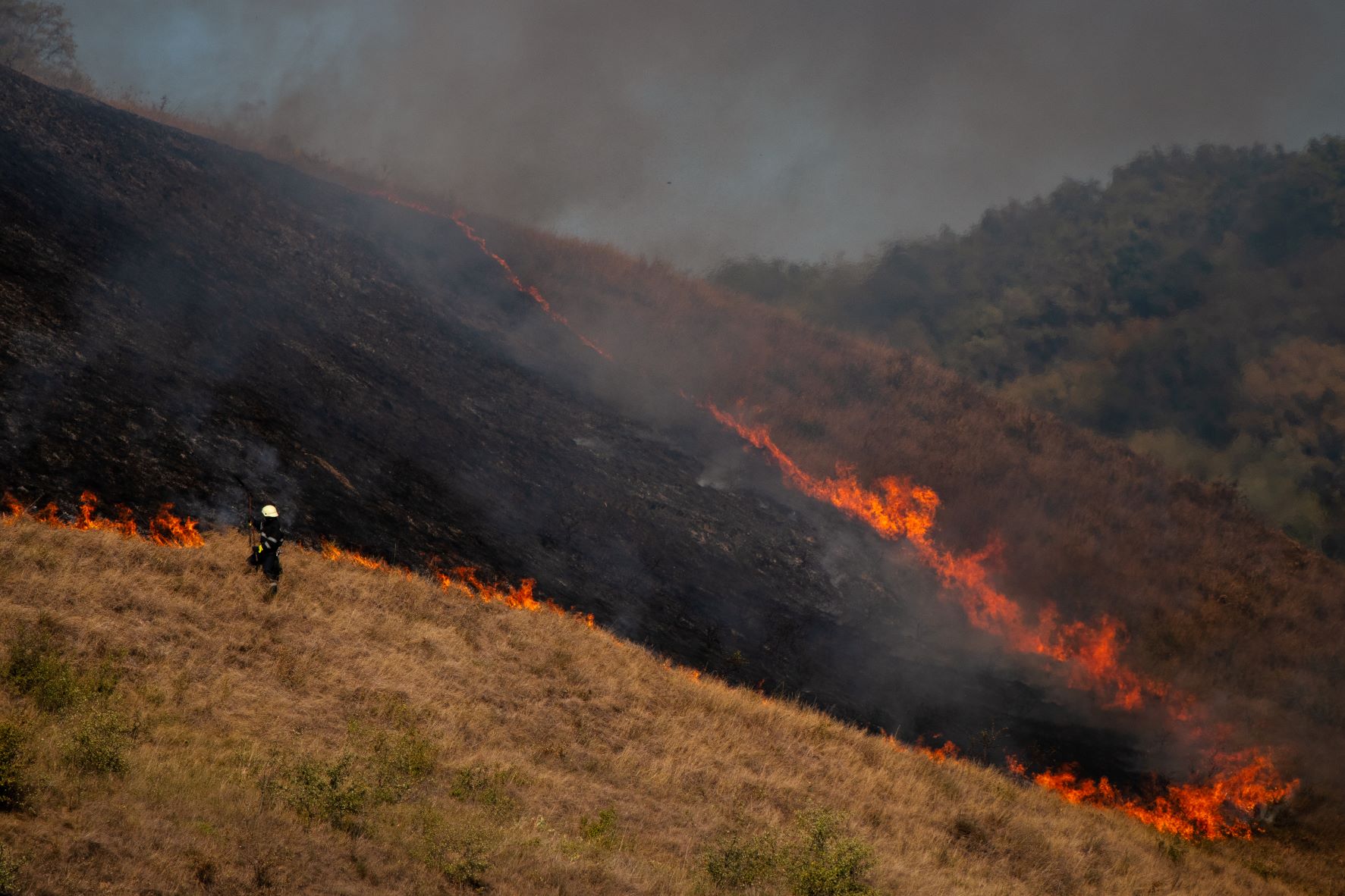 Incendiu de vegetație la Florești! Pompierii au intervenit cu două autospeciale. FOTO - ISU Cluj / Andrei Săsăran