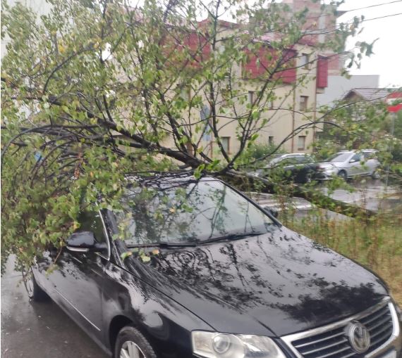 Copac căzut peste mașină pe strada Bobâlnei / Foto: Info Trafic jud. Cluj