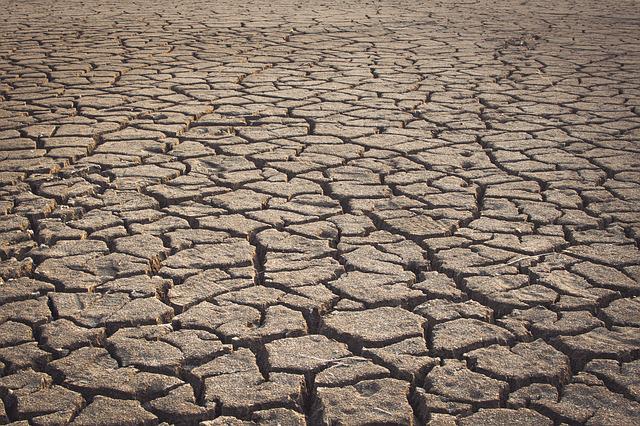 Anul agricol 2021-2022 este cel mai secetos an din istorie, conform măsurătorilor, a declarat directorul Administrației Naționale de Meteorologie (ANM), Elena Mateescu./ Foto: pixabay.com