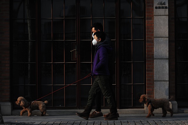 China a plasat joi în lockdown peste 20 de milioane de locuitori din Chengdu, o metropolă din sud-vestul ţării/ Foto: pixabay.com