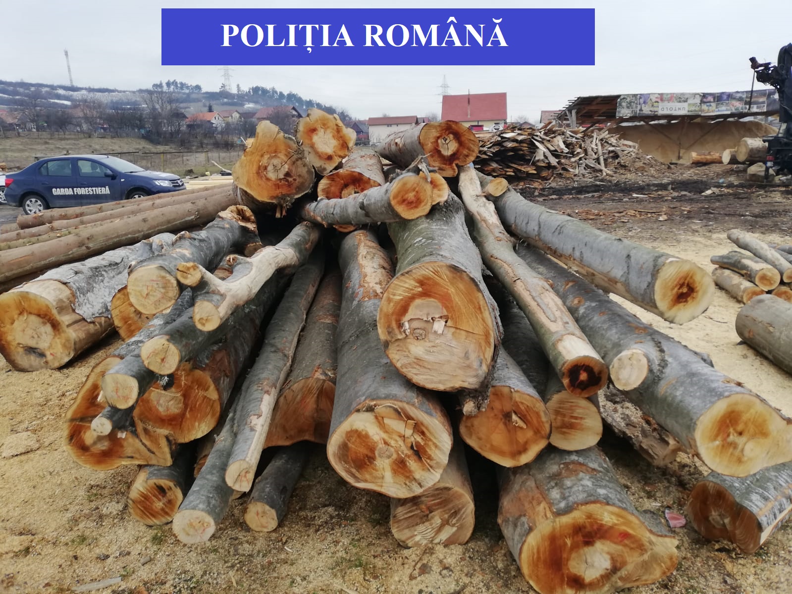 Transport ILEGAL de lemn, în Baciu. FOTO: Arhivă IPJ Cluj