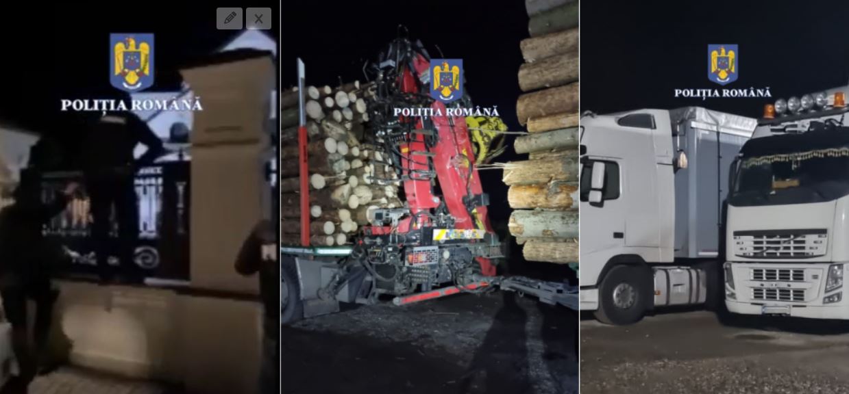 Percheziții la persoane acuzate de tăieri ilegale de lemne și evaziune / Foto: Poliția Română