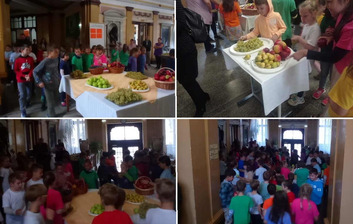 Liceul Unitarian „János Zsigmond” din Cluj-Napoca le-a oferit elevilor, de la mic la mare, fructe proaspete de sezon, învățându-i pe cei mici importanța unui stil de viață sănătos. Foto: monitorulcj.ro