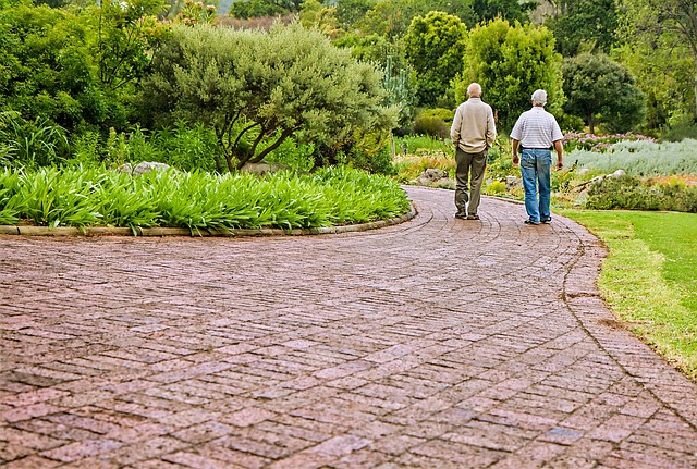 Numărul total al beneficiarilor de indemnizaţie socială pentru pensionari a fost de 1.146.973 în septembrie 2022/ Foto: pixabay.com