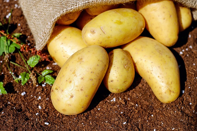 Alimentele continuă să se scumpească. Cele mai mari scumpiri înregistrate de la începutul anului au fost la cartofi, zahăr, ulei și gaze/ Foto: pixabay.com