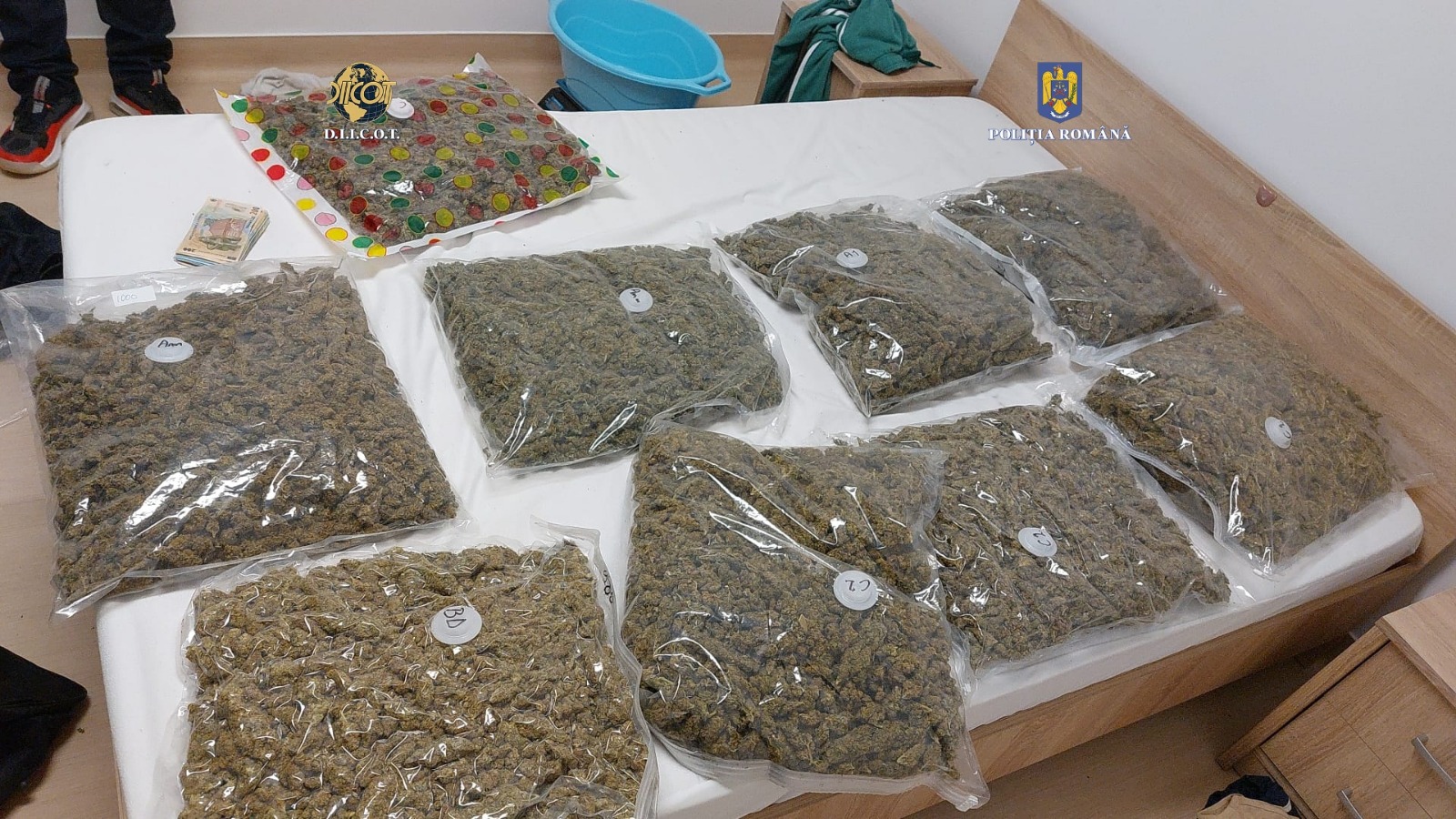11 kg de cannabis și hașiș, confiscate de polițiști / Foto: IPJ Cluj