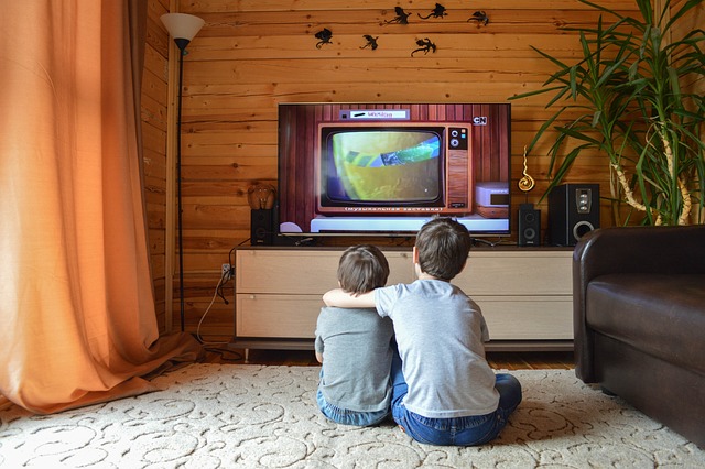 Televizoarele cu cel puţin noua clasă energetică G au fost principalele produse achiziţionate de români în 2021, prin Programul „Rabla pentru electrocasnice”/ Foto: pixabay.com