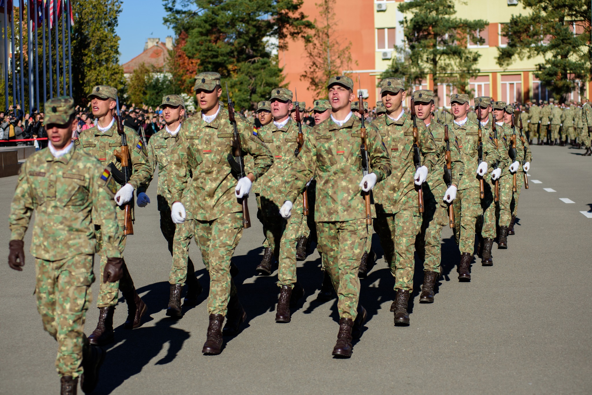 Ziua Armatei Române este marcată, în fiecare an, la 25 octombrie/ FOTO: Ministerul Apararii Nationale, Romania - www.mapn.ro/Facebook