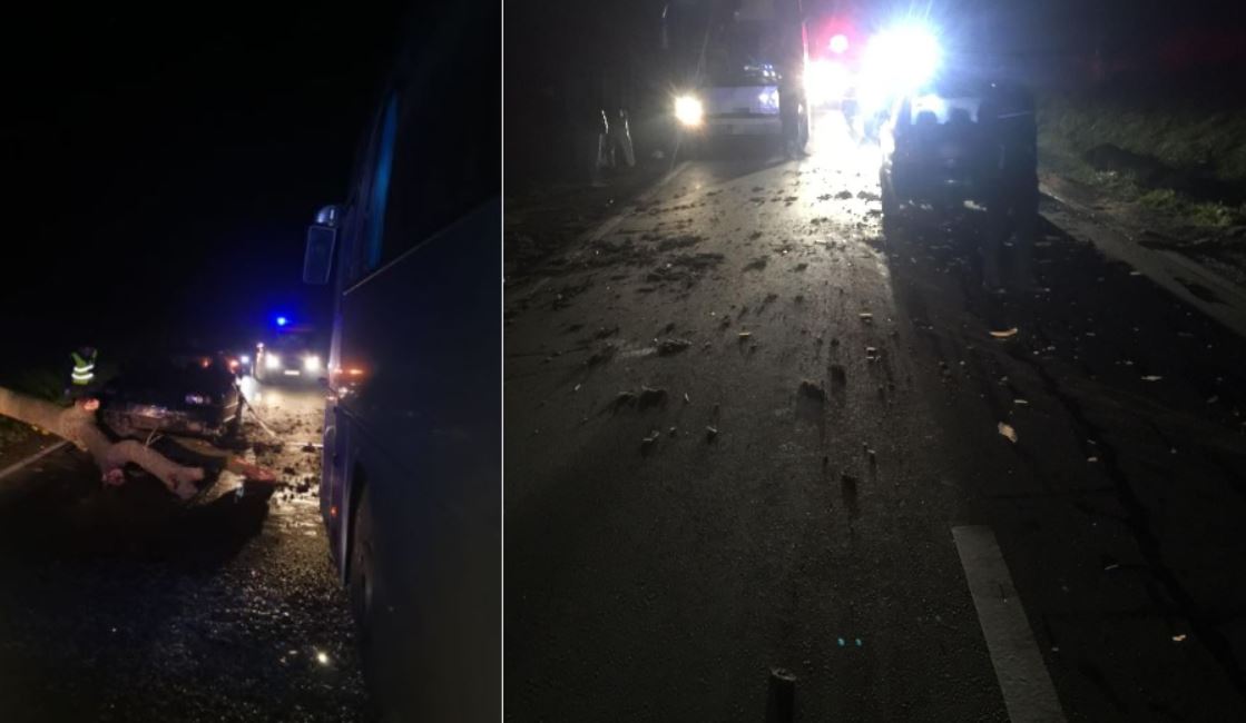 Un accident a avut loc la ieșire din Apahida între o mașină, un autocar și un copac / Foto: ISU Cluj + IPJ Cluj