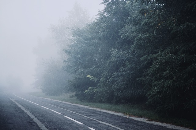Meteorologii au emis o avertizare de cod galben de ceață, luni dimineața, pentru județul Cluj/ FOTO: pixabay.com