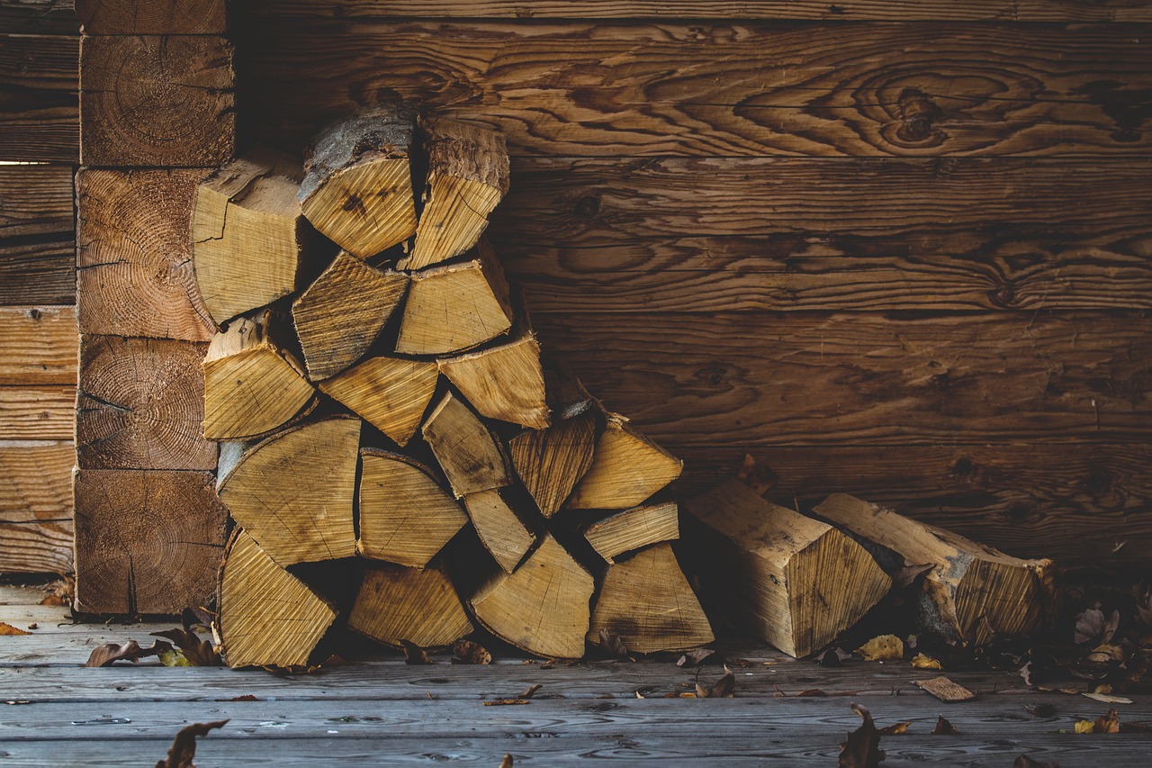 Plafonarea prețului lemnelor de foc, o greșeală, admite premierul Ciucă. FOTO: Pixabay