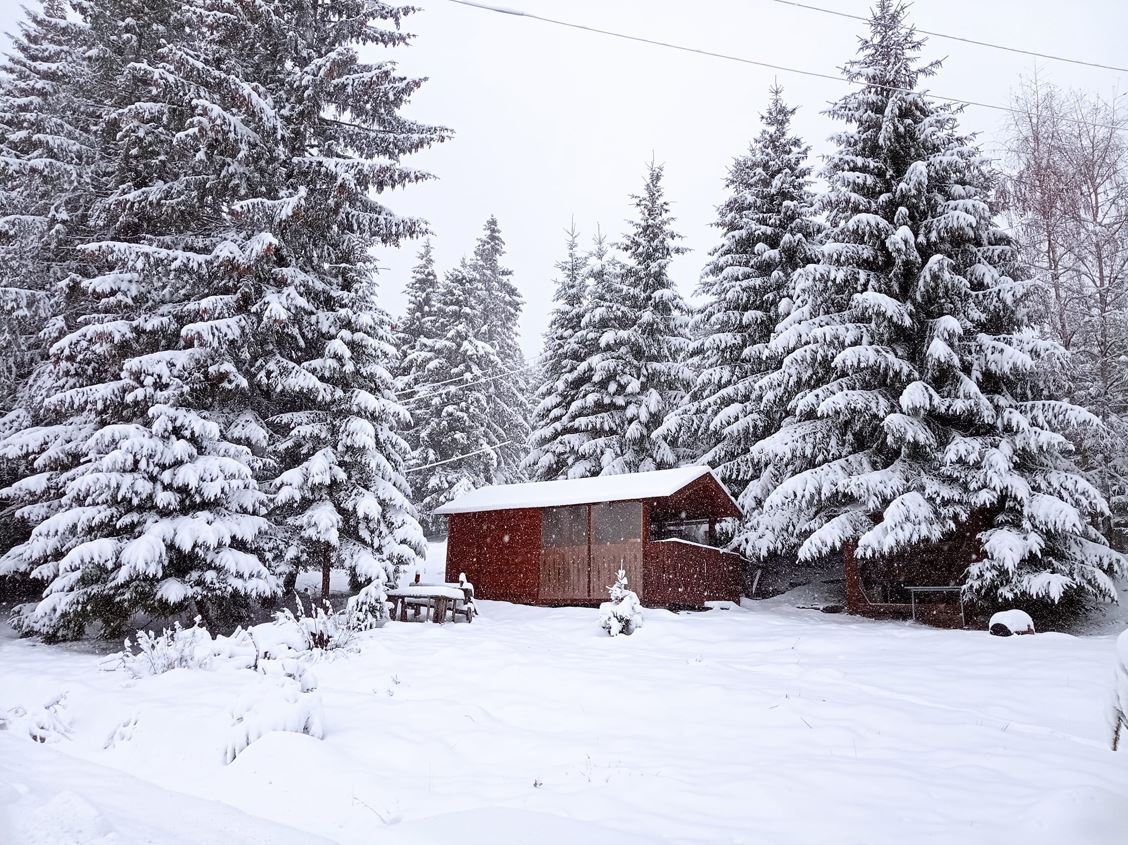 Imagine spectaculoasă din stațiunea Băișoara după ninsoare / Foto: Centrul Turistic Băișoara