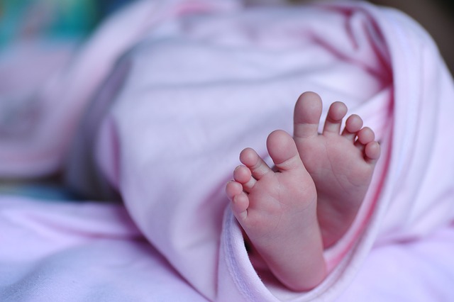 Cadavrele înghețate a doi bebeluși au fost descoperite într-un congelator/ FOTO: pixabay.com