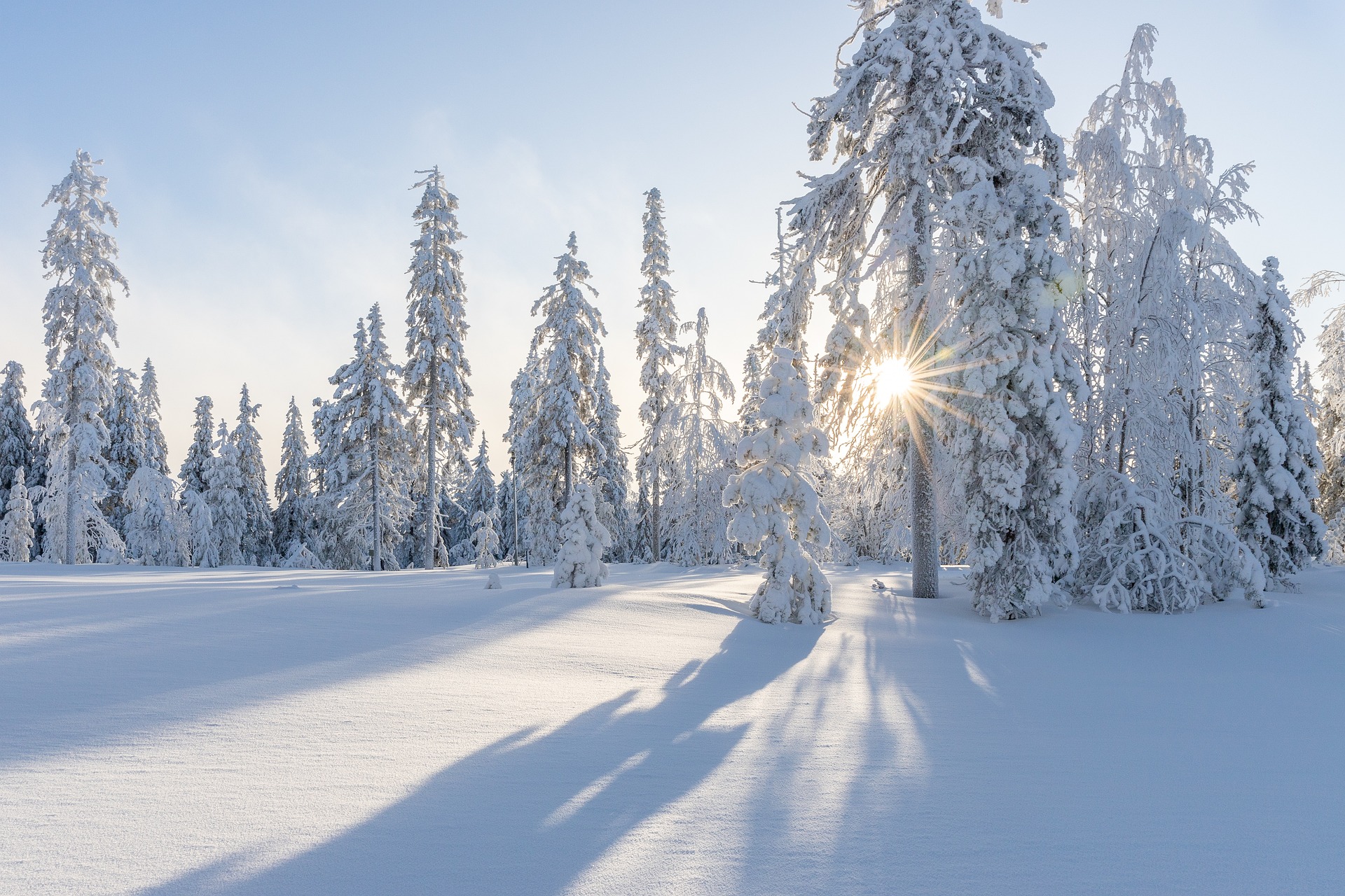 Vremea va fi mai caldă decât valorile caracteristice perioadei în ultimele zile din an și până la mijlocul lunii ianuarie. FOTO: Pixabay