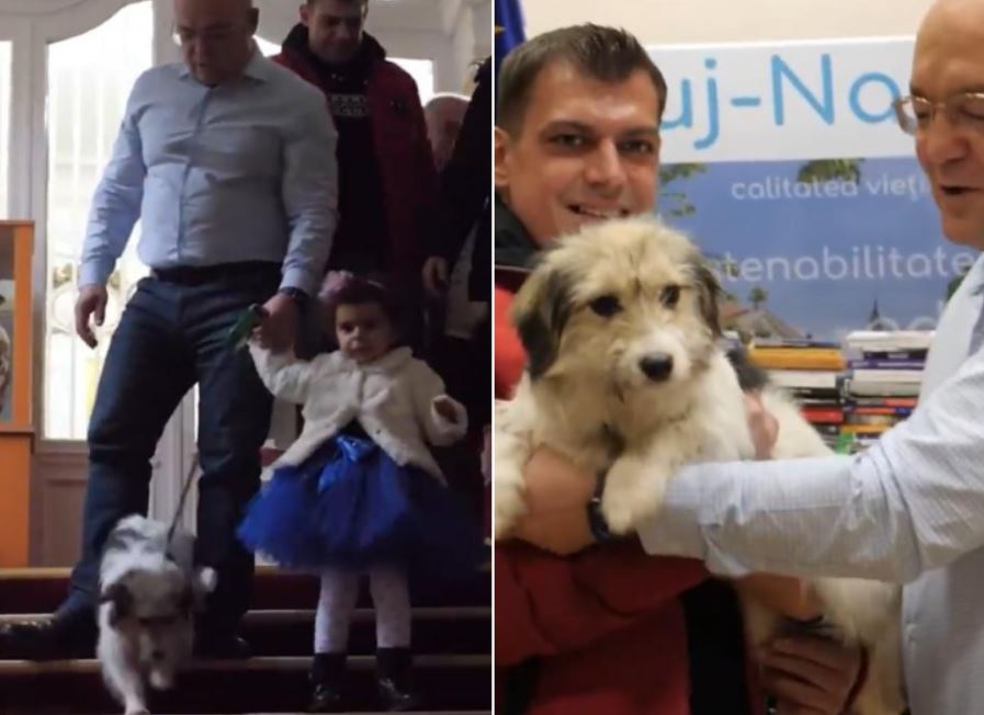 Cățelușa salvată de Boc s-a întors la familia ei iubitoare / Foto: Facebook - Emil Boc
