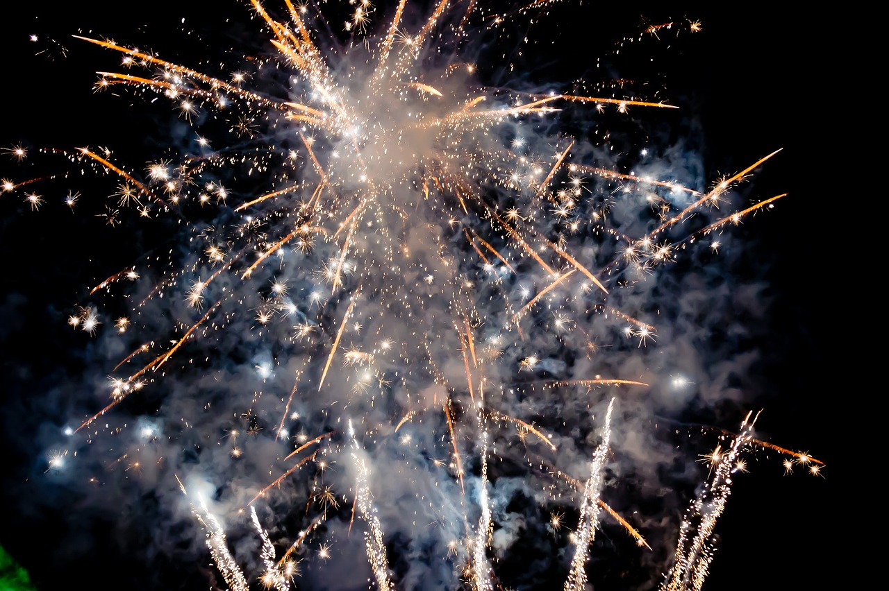 Oamenii de știință din Cehia cer interzicerea focurilor de artificii. FOTO: Pixabay