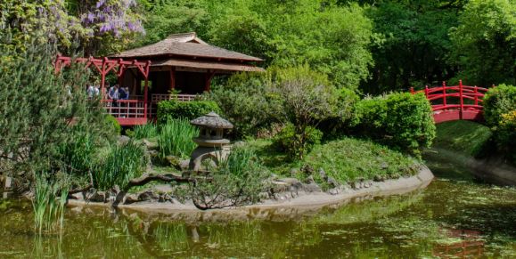 Grădina japoneză din cadrul Grădinii Botanice a UBB / Foto: site UBB