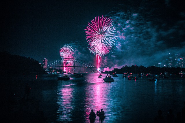 Un nou studiu realizat de Universitatea Curtin din Australia a dezvăluit impactul „foarte dăunător” al focurilor de artificii asupra vieţuitoarelor şi mediului înconjurător/ Foto: pixabay.com