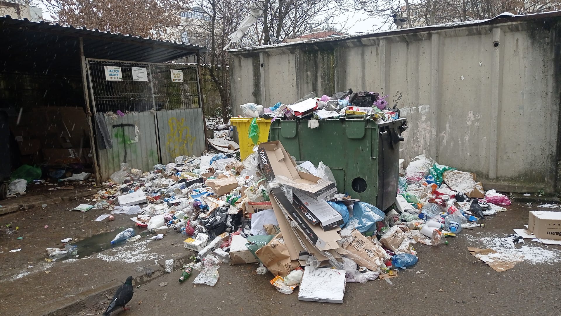 Gunoaie neridicate în zona Aurel Vlaicu. Fotografie făcută la data de 1 februarie 2023 / Foto: monitorulcj.ro