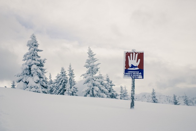 Cinci persoane au fost găsite moarte, duminică, în urma unor avalanşe, iar numărul total al deceselor înregistrate în weekend din această cauză a ajuns la opt în vestul turistic al Austriei/ Foto: pixabay.com