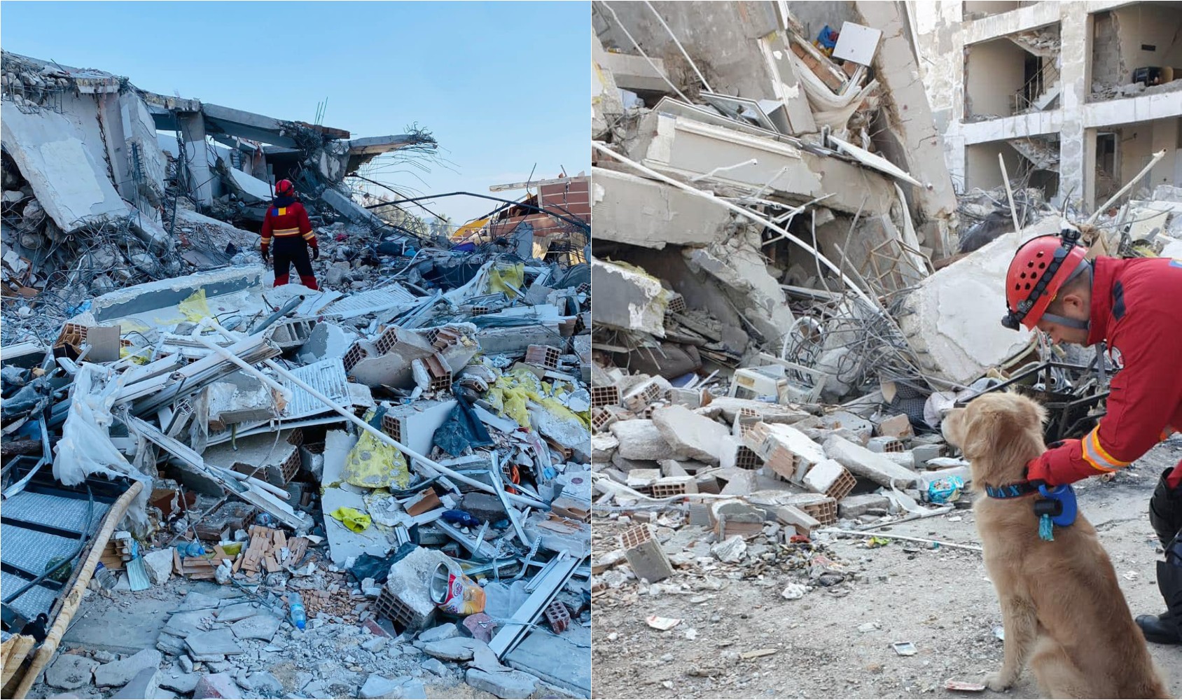 Primele imagini cu Rareș Urs și câinele Max în Turcia, unde a avut loc cutremurul / Foto: ISU Cluj