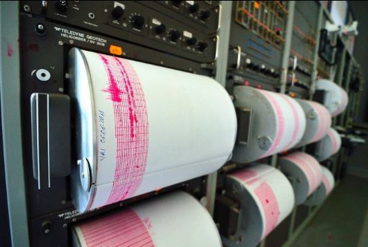 Cutremurul a produs pagube la nivel național/captură foto: Institutul Național de Cercetare-Dezvoltare pentru Fizica Pământului Facebook.com