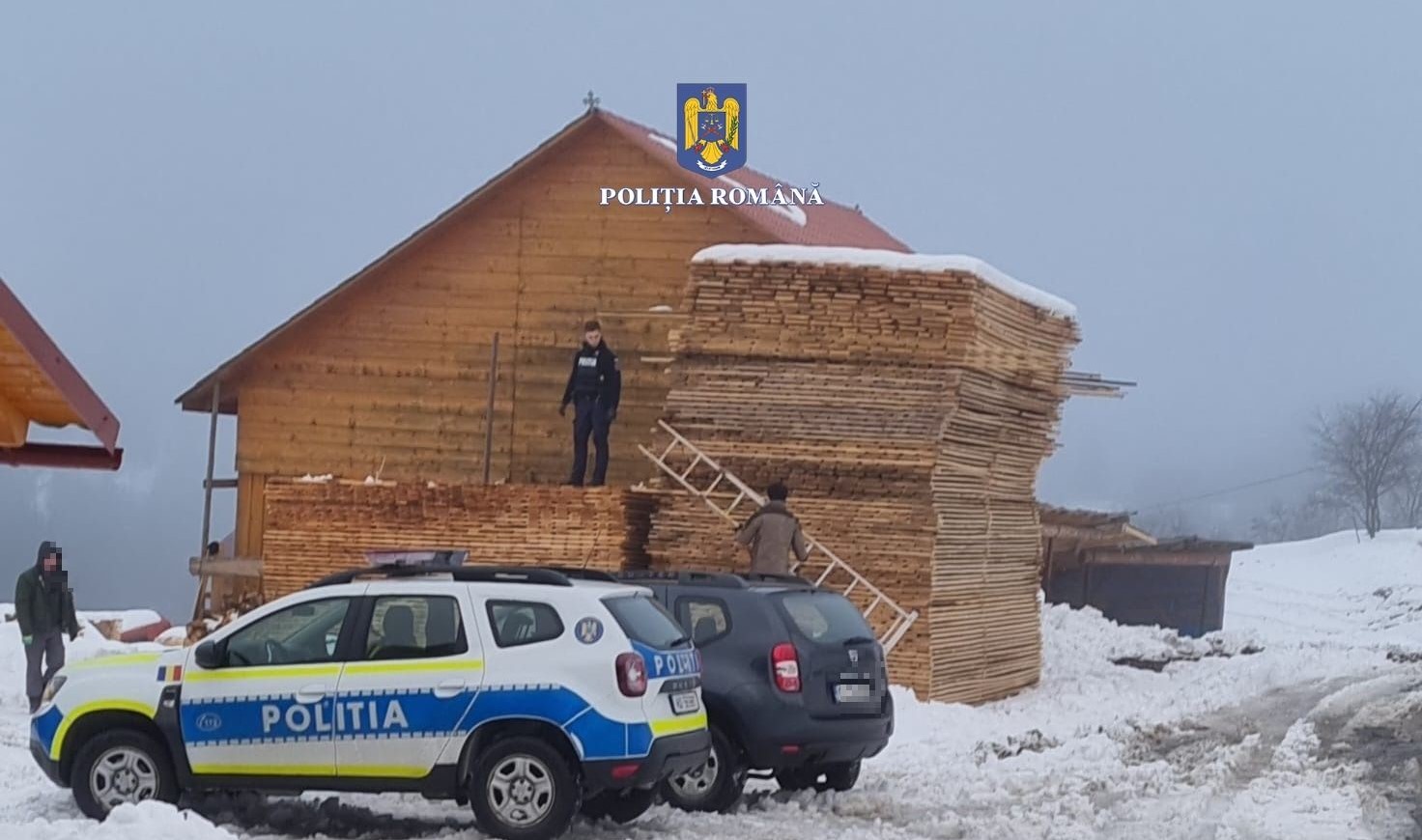 Polițiștii clujeni au efectuat cinci percheziții domiciliare în comuna Horea din județul Alba, pentru infracțiuni de tăiere ilegală a copacilor/ Foto: IPJ Cluj