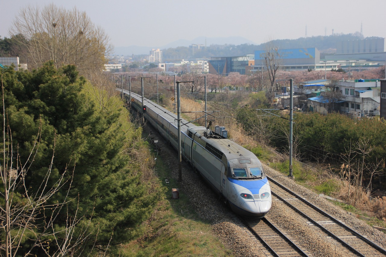 Guvernul maghiar dorește realizarea unei căi ferate de mare viteză care să lege Cluj-Napoca de Budapesta. FOTO: Pixabay
