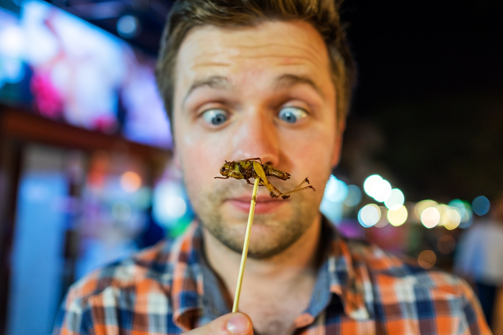 Trei mari minciuni despre folosirea insectelor în alimente, în UE. FOTO: Depositphotos.com