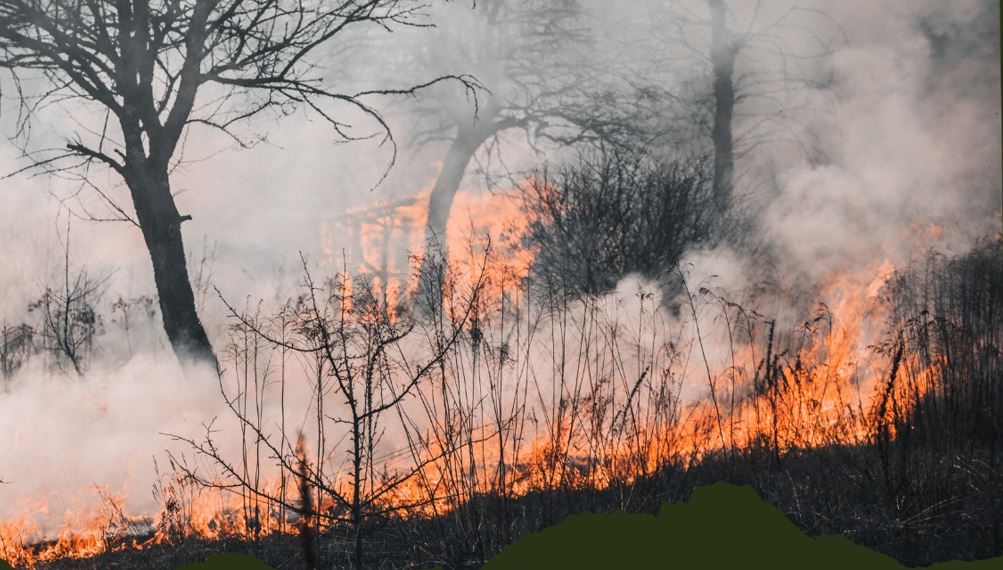 Incendiu de vegetație / Foto: screenshot - ISU Cluj