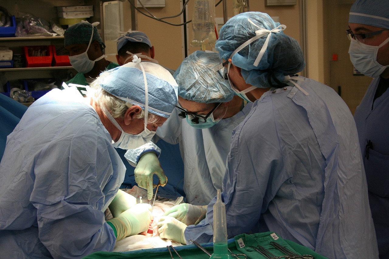 22 decembrie 1989. Într-o sală de operații de la Facultatea de Medicină Veterinară din Cluj-Napoca, un tânăr asistent universitar încearcă să facă primul transplant de rinichi la o oaie. FOTO: Pixabay