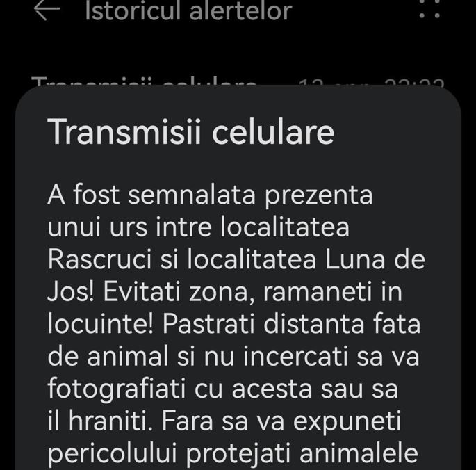 Alertă. Semnalarea prezenței unui urs în Cluj / Foto: Info Trafic jud. Cluj